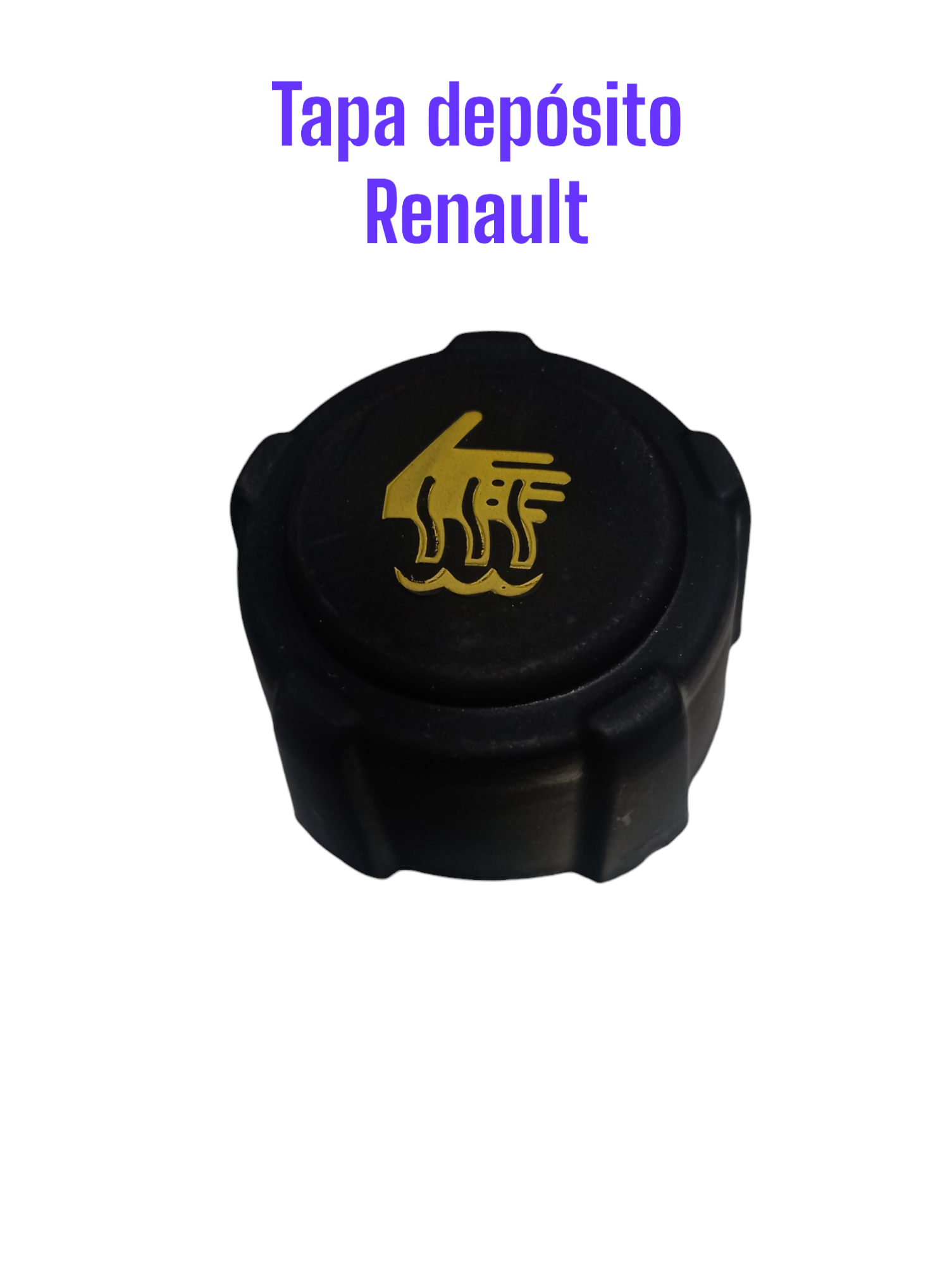 tapa deposito renault original