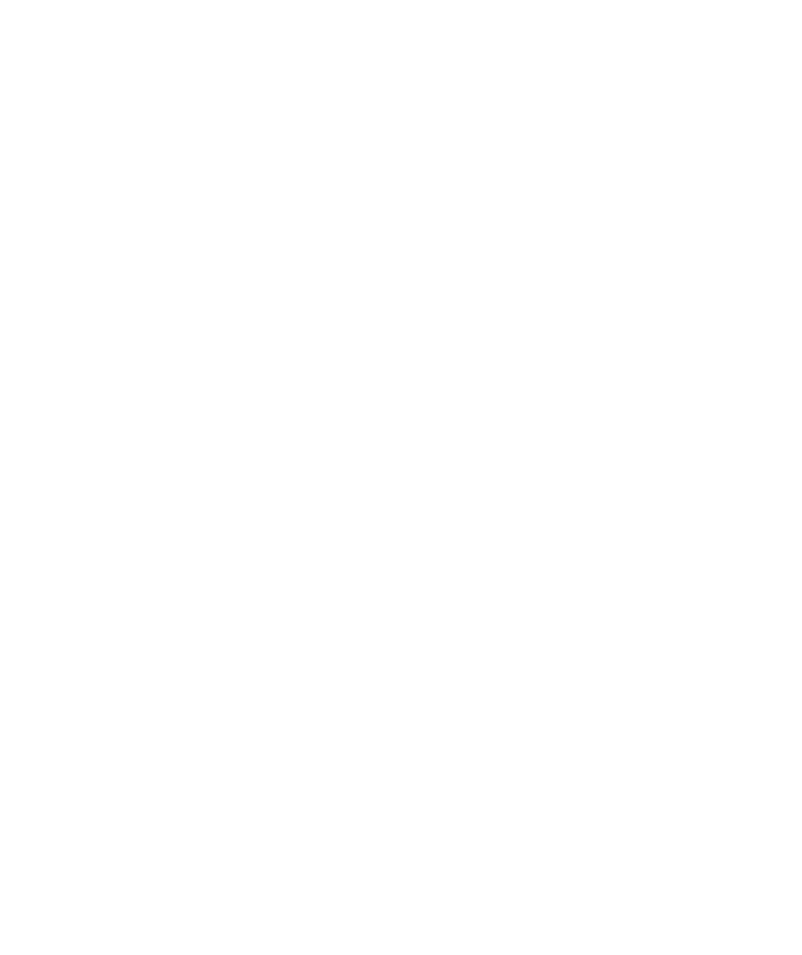 Skinny Witch logo