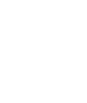Skinny Witch logo