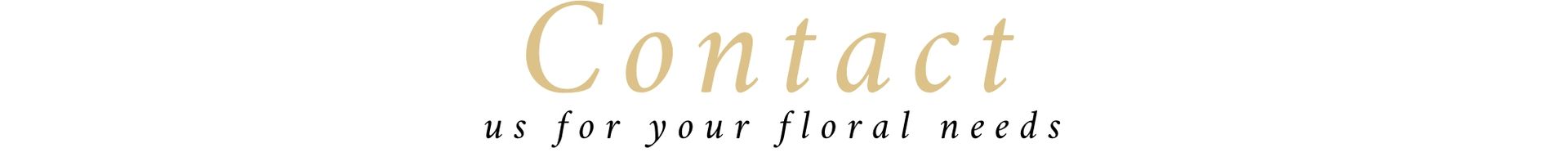 Stylized “Contact” header with a small accent line and faint decorative text underneath