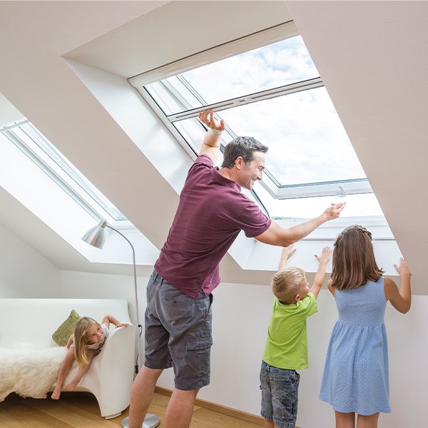 ISN Insektenschutz für Dachfenster