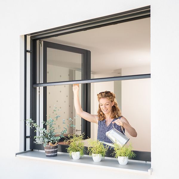 ISN Rollo für Fenster