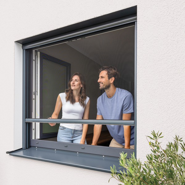 ISN Rollo für Fenster