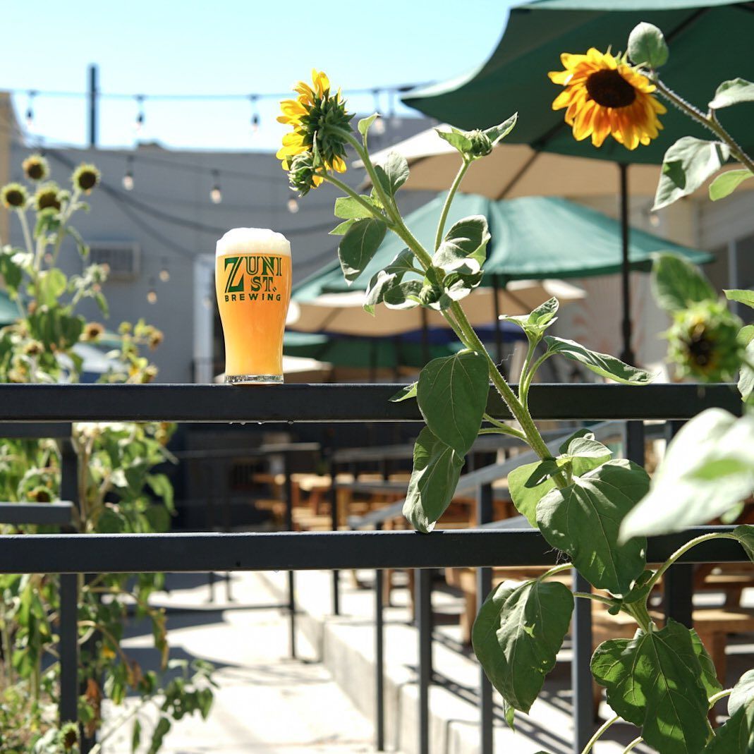 A glass of beer with the number 4.9 % on it