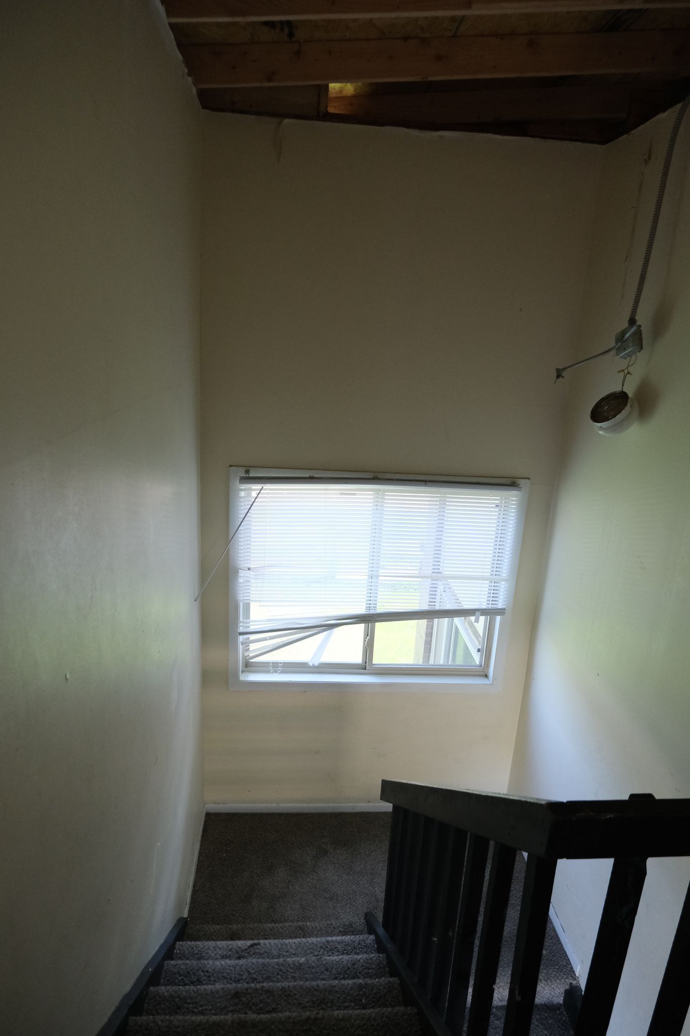 Stairwell with carpeted stairs, railing, window, and off-white walls.