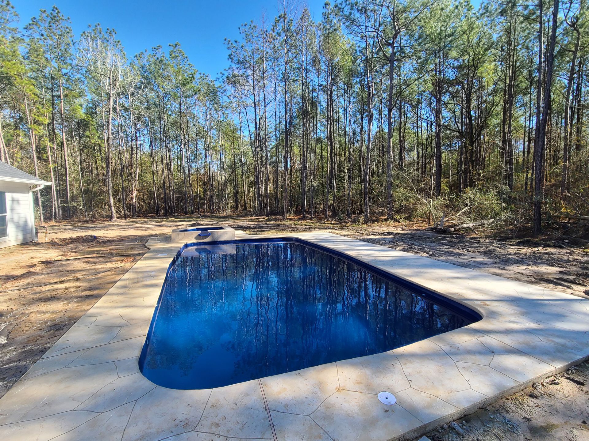 A large swimming pool in the middle of a forest