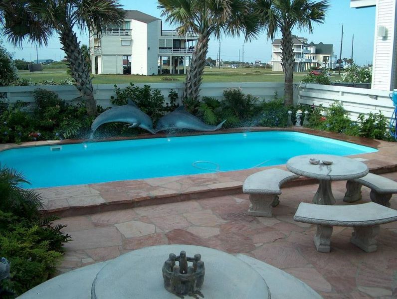 A swimming pool with two dolphins in it