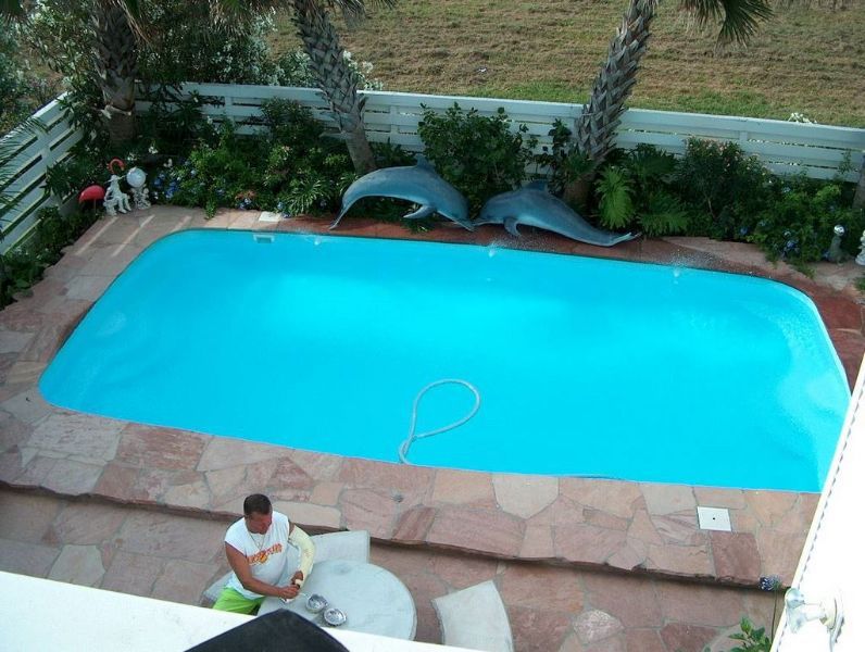 Two dolphins are swimming in a swimming pool