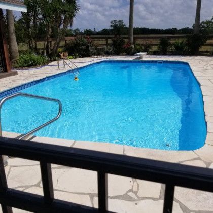 A large swimming pool is surrounded by a fence and palm trees