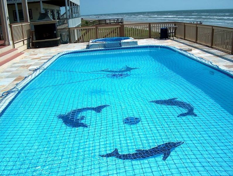 A large swimming pool with dolphins on the tiles