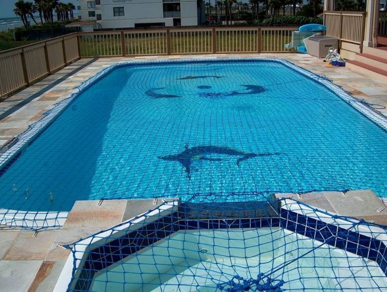 A large swimming pool with a dolphin in the middle