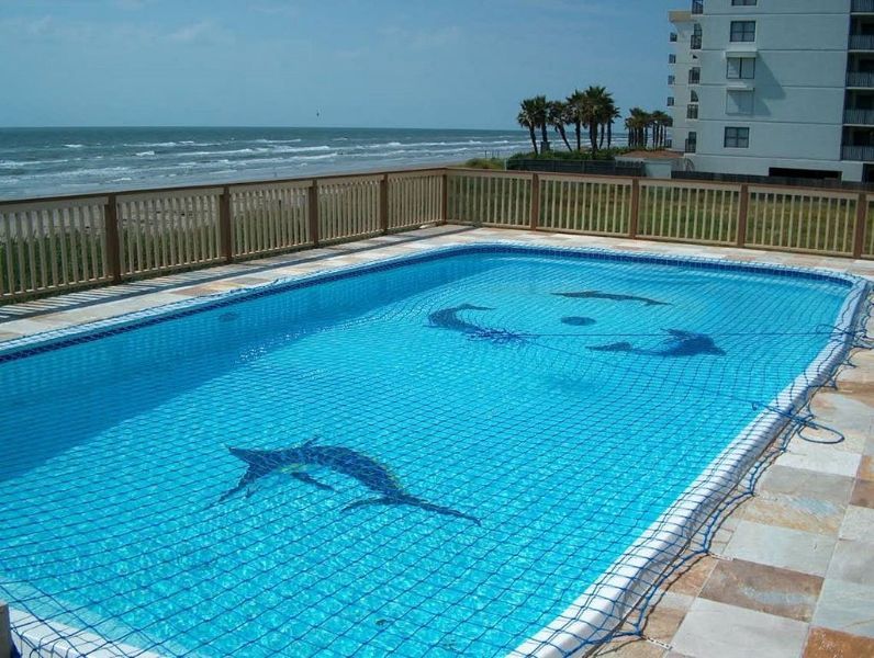 A large swimming pool with dolphins painted on it