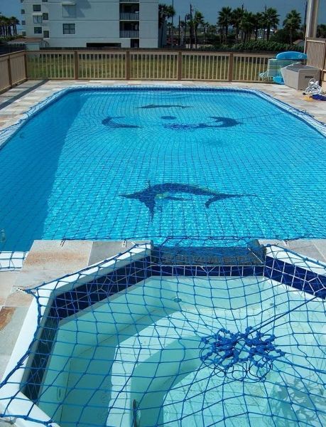 A large swimming pool with a dolphin design on the tiles