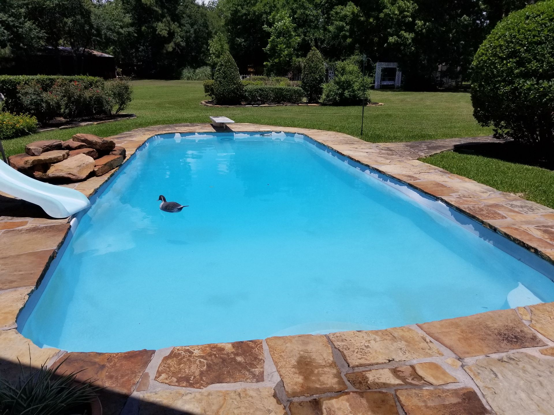 A duck is swimming in a swimming pool with a slide.