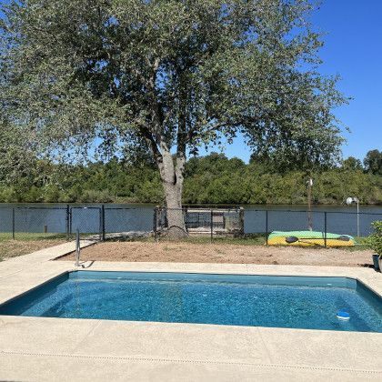 There is a large tree in the middle of the pool.