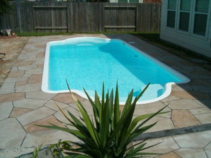 A swimming pool with a plant in front of it