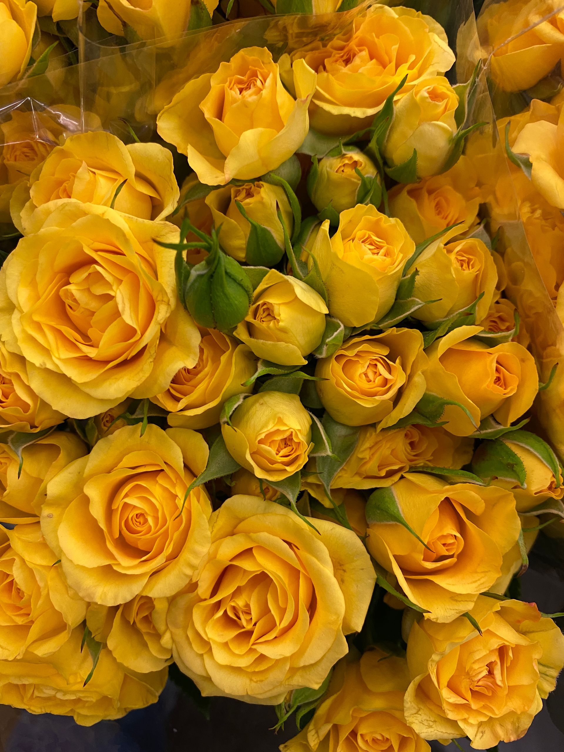 yellow ecuadorian spray roses, Bloom My House, DIY flowers