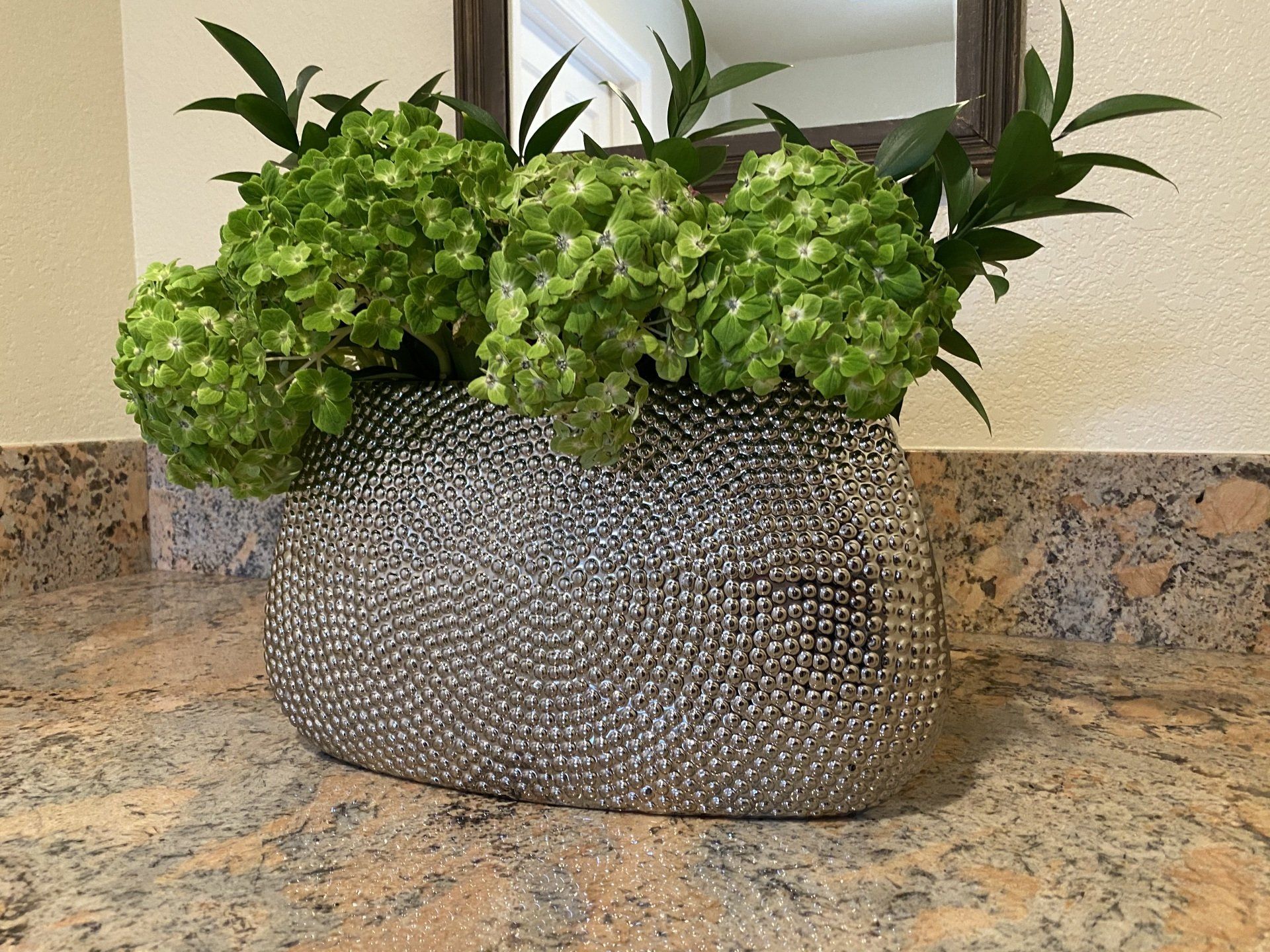 Green Hydrangea direct from farm