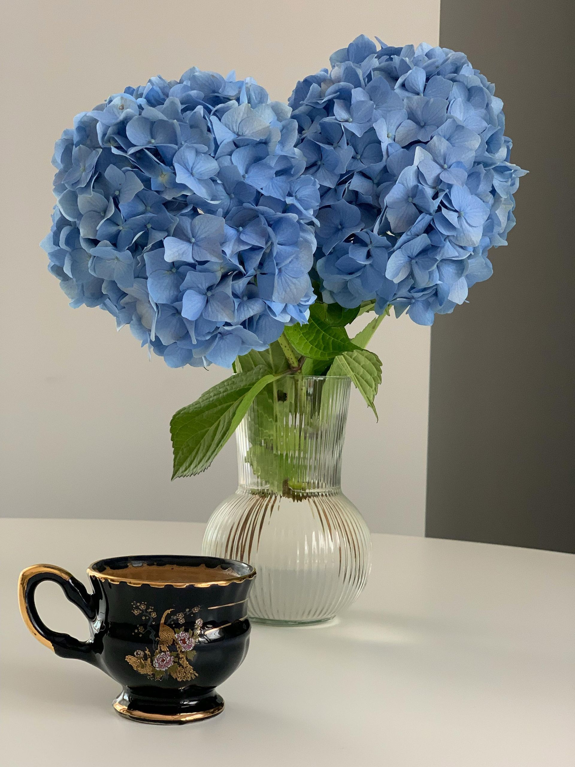 Blue Colombian hydrangea, DIY flowers