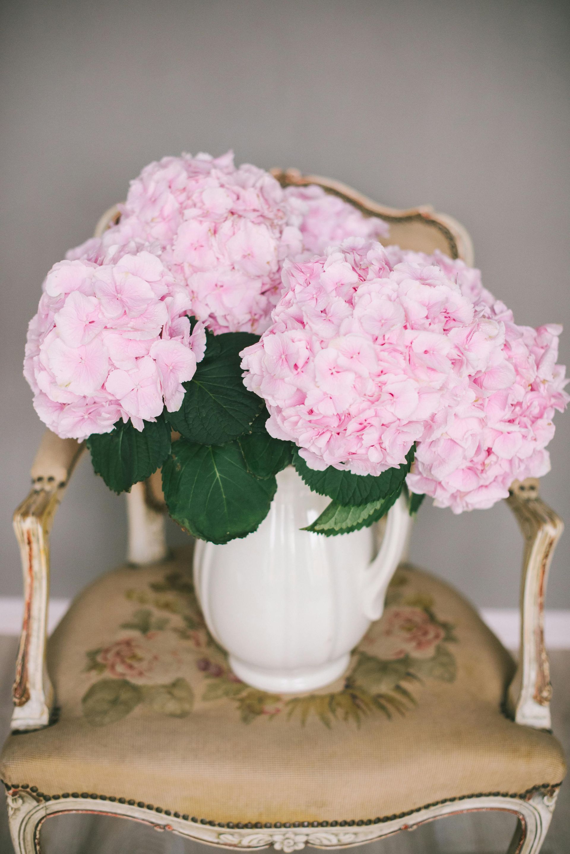 Pink Colombian hydrangea, DIY flowers
