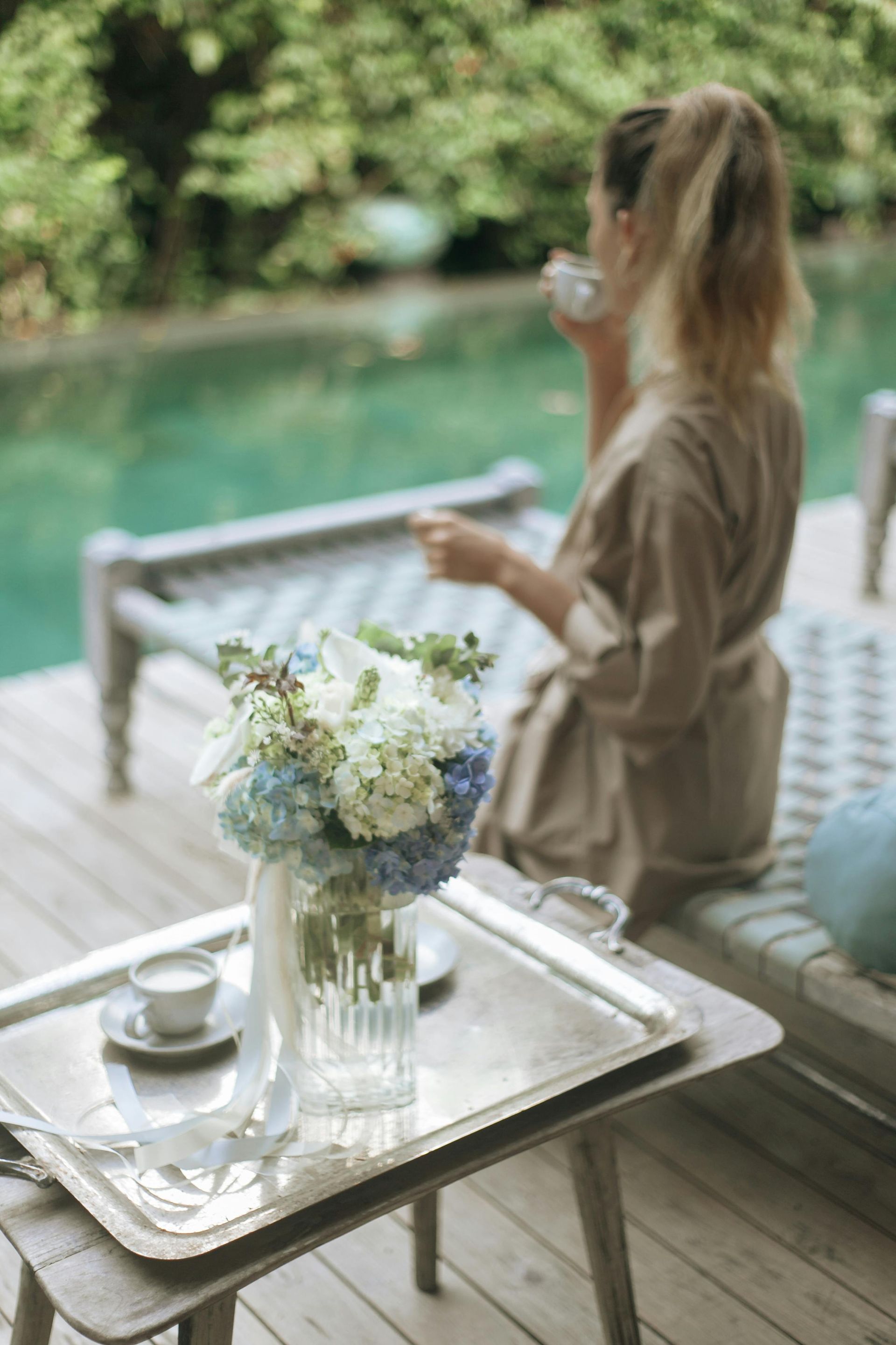 Blue Hydrangea direct from farm