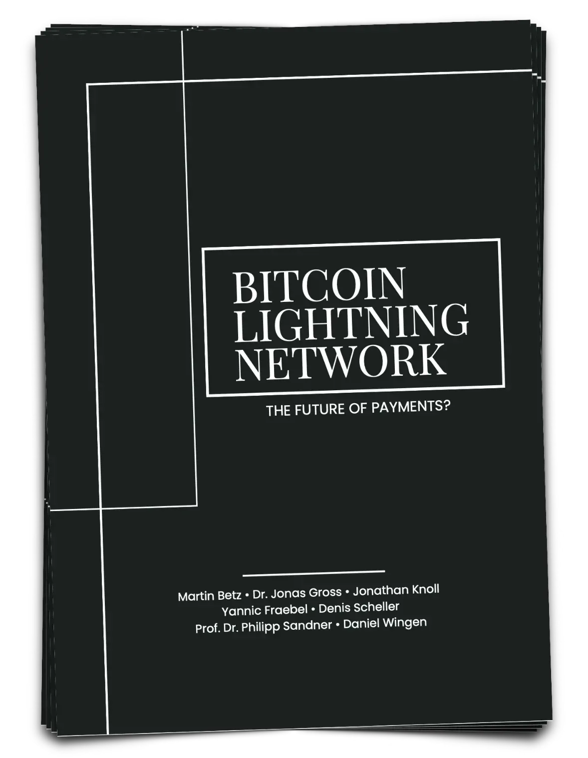 Schwarzer Bucheinband, Titel „Bitcoin Lightning Network“, mit den Namen der Autoren unten.