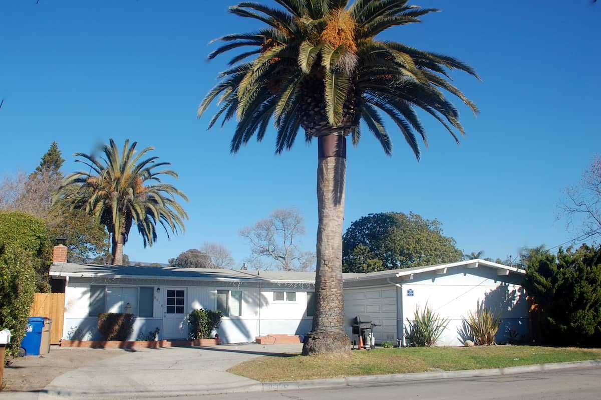 Single-Family | 5 Bedroom & 2 Bath