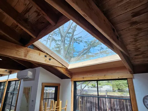 Interior view of a room with a skylight, showing wooden beams and a tree visible through the glass.