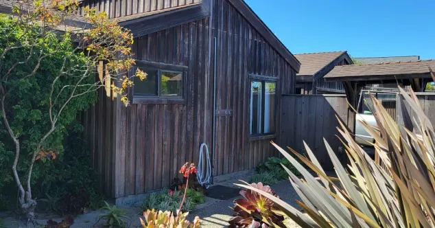 Wooden building with a small window and a larger glass door. Green foliage in the foreground. Bright sunny day.