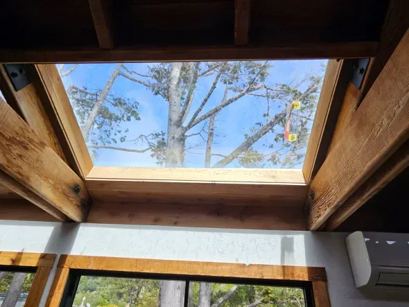 Skylight view of blue sky and tree branches, framed by wooden beams and structure.
