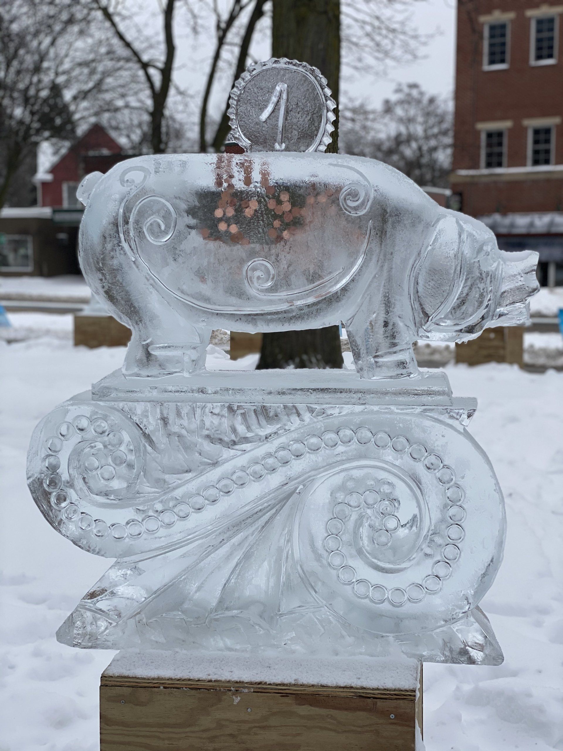 Dexter Ice Fest 2020 Highlights