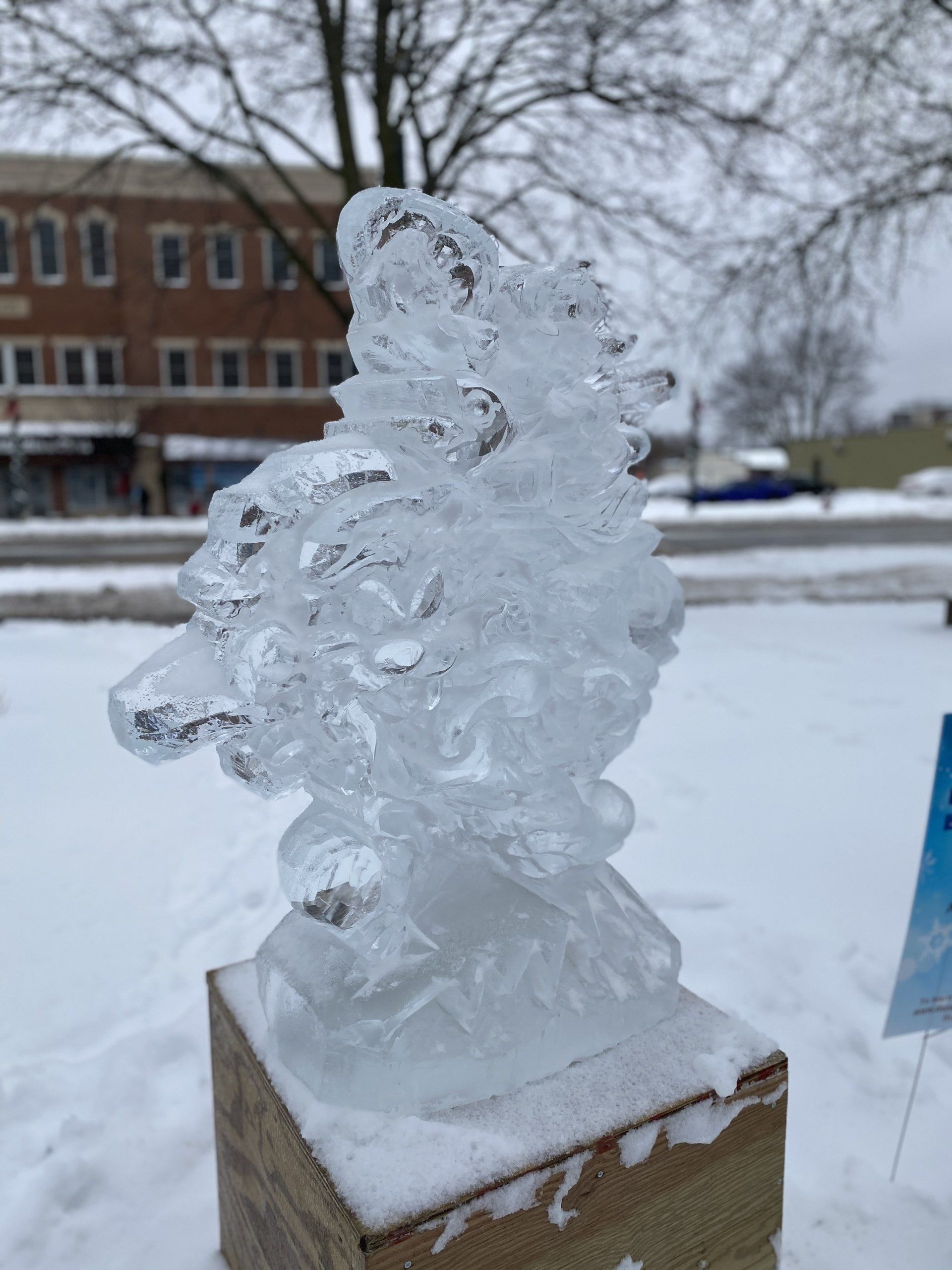 Dexter Ice Fest 2020 Highlights