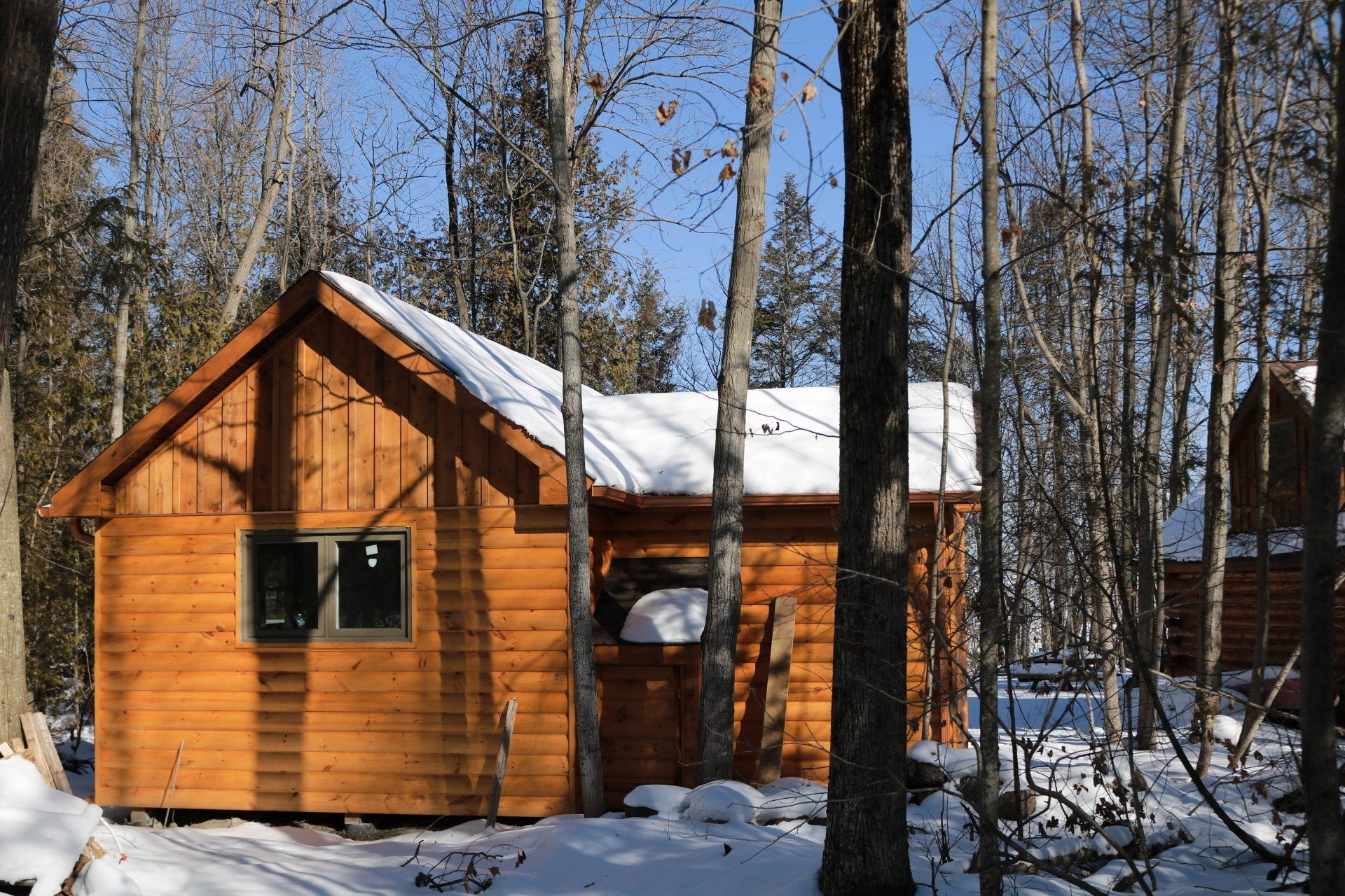 SNAKE ISLAND - New Build