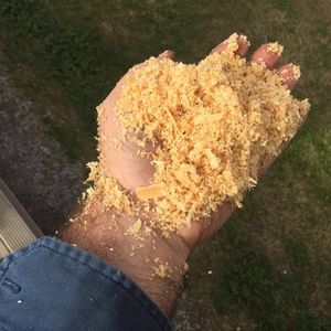 shavings in someone's hand