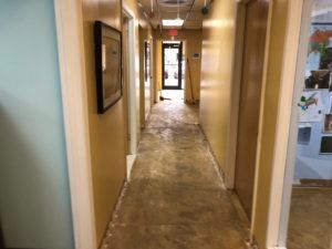 Flooring removal complete and subfloor ready for carpet installation in Plantation, FL commercial facility.
