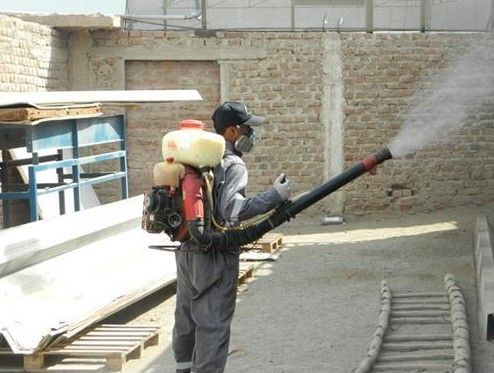 MSJ S.A.C. Control de Plagas