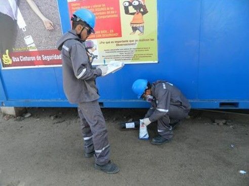 MSJ S.A.C. Control de Plagas