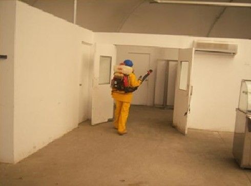 MSJ S.A.C. Control de Plagas