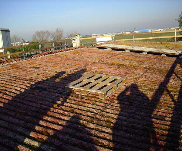 Copertura in eternit