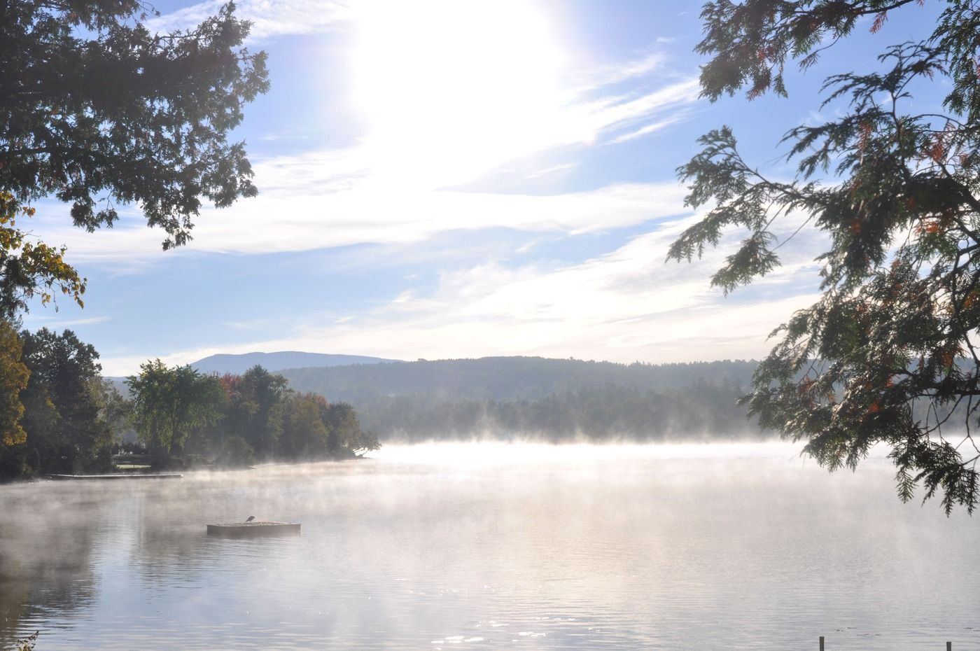 Foggy lake scene with bright sun, trees, and distant hills.