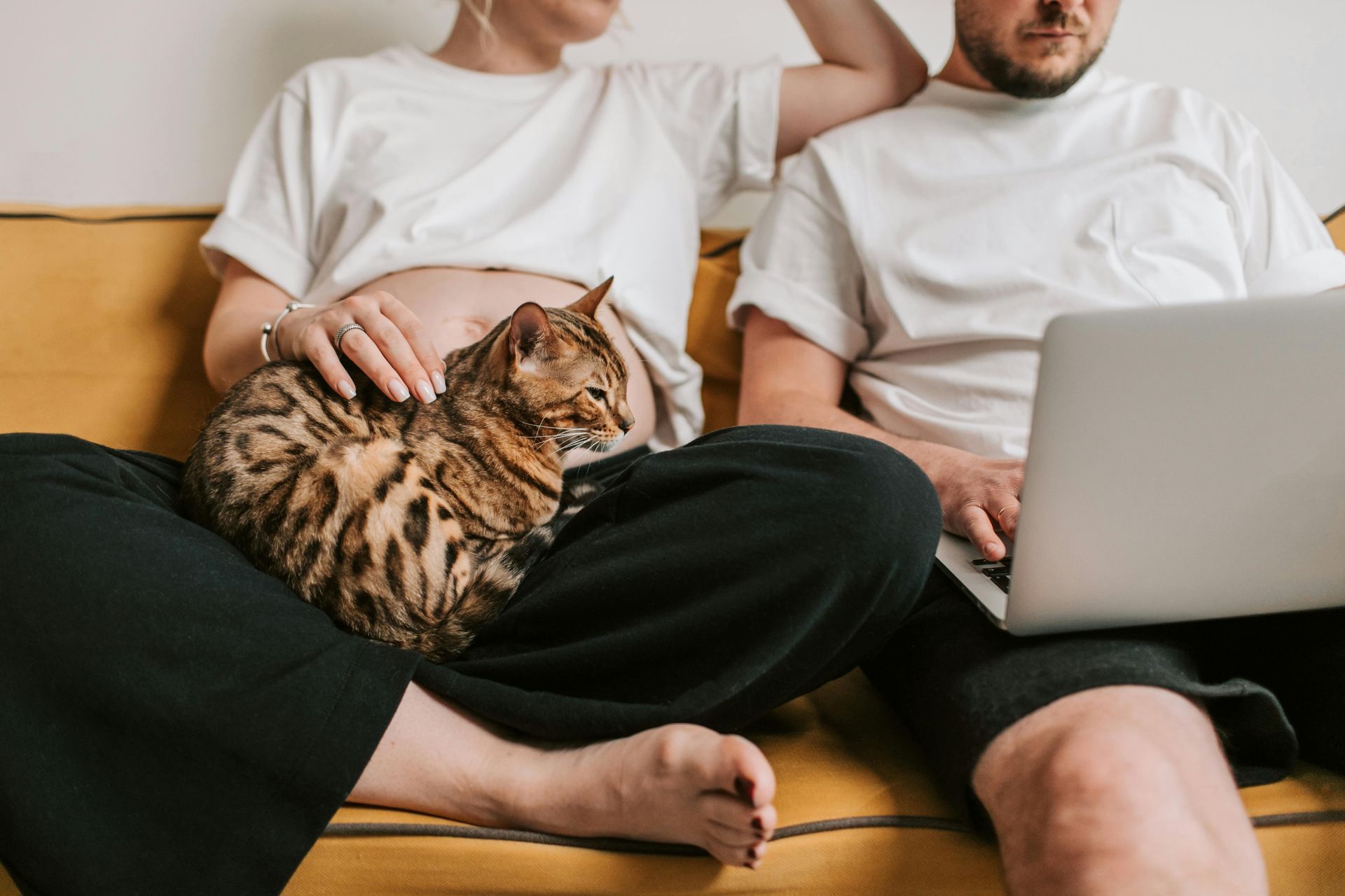 Pregnant person and partner on a yellow couch; cat in lap, partner uses a laptop.