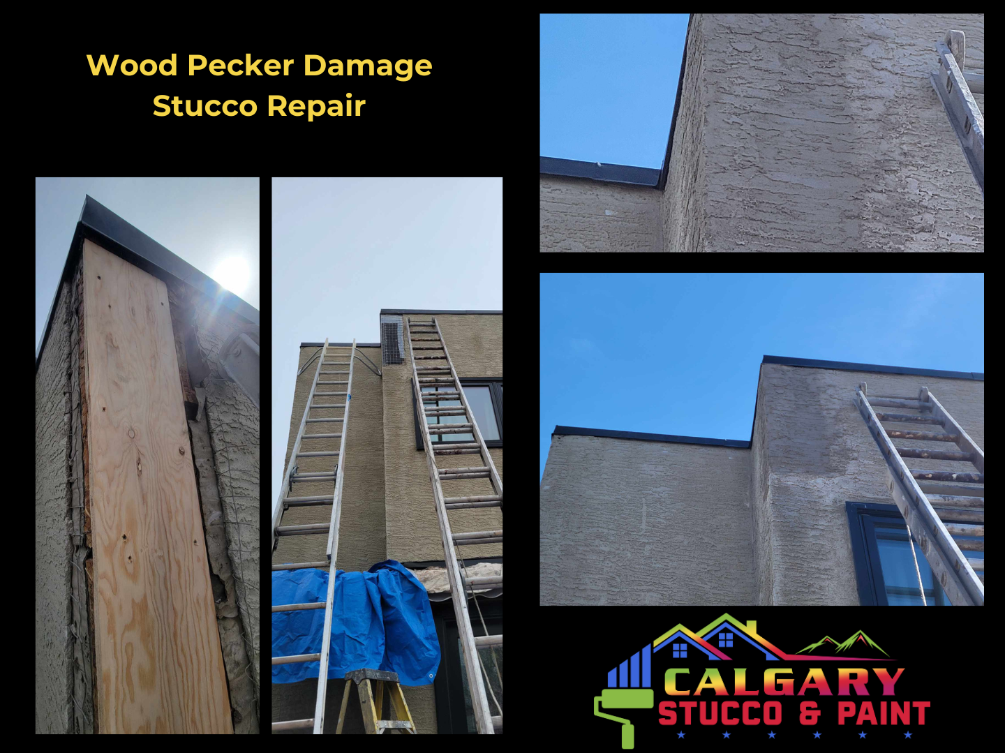 Woodpecker damage on stucco wall and then fixed.