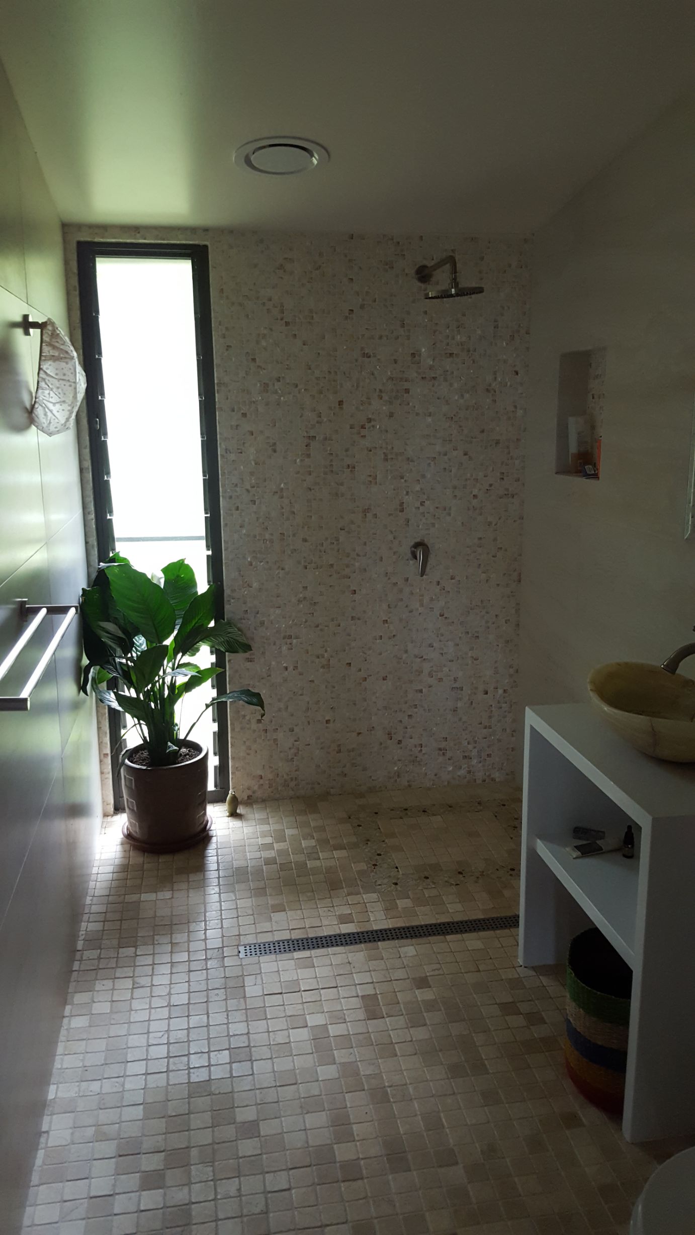 Shower Room — Builder in Mcleans Ridges, NSW