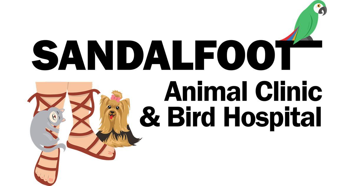 Animal and shops bird medical center