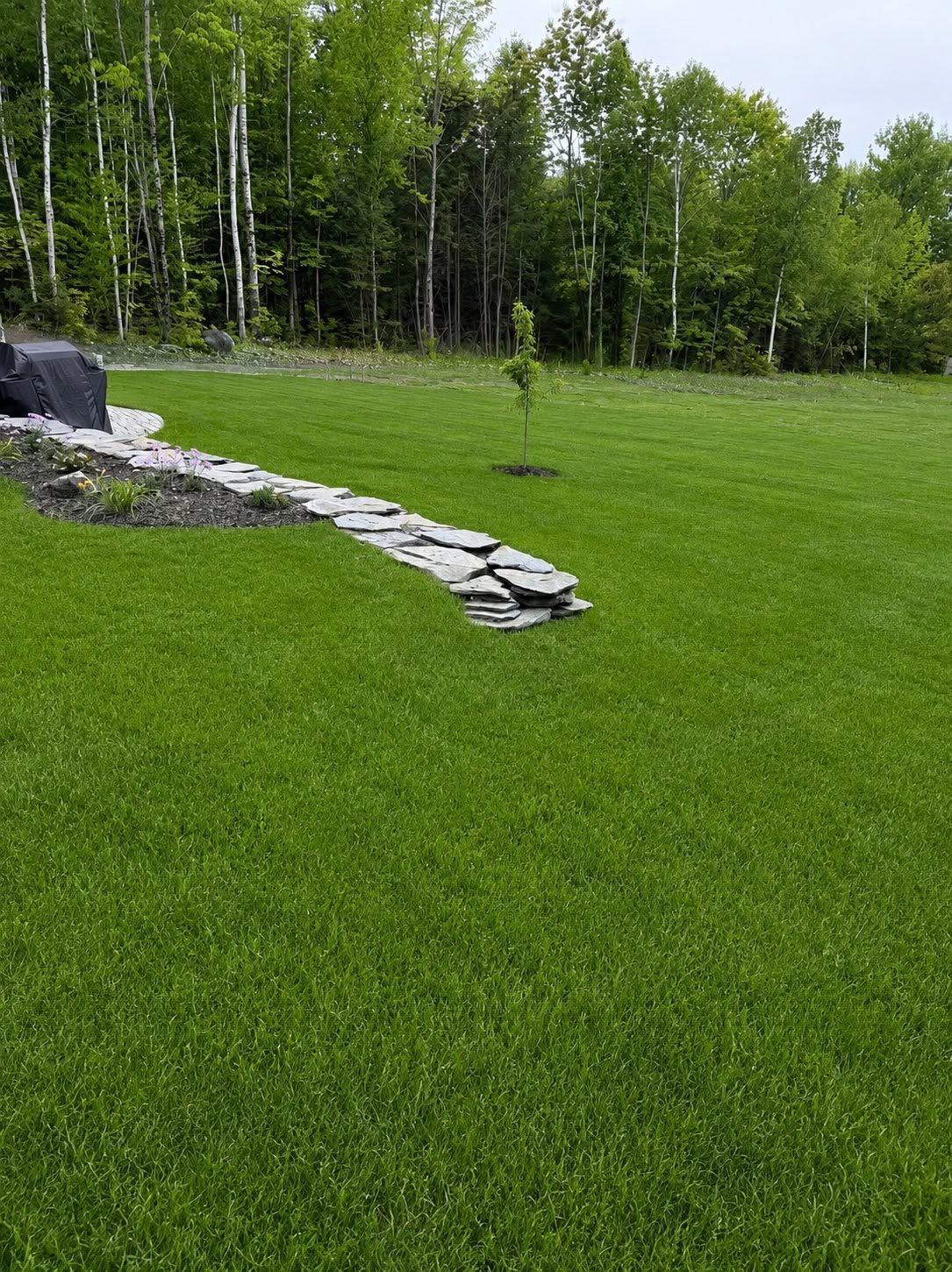 Green lawn with a stone border beside trees and a small waterfall feature