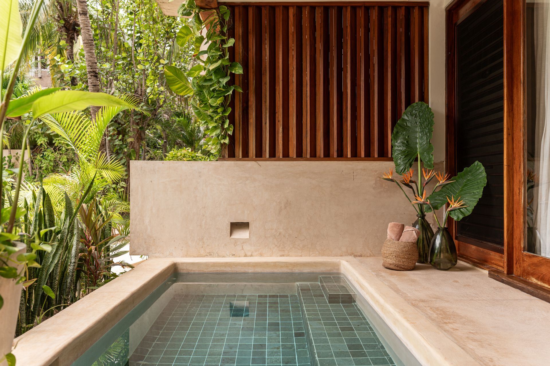 Outdoor plunge pool surrounded by tropical plants and a wooden shuttered window.