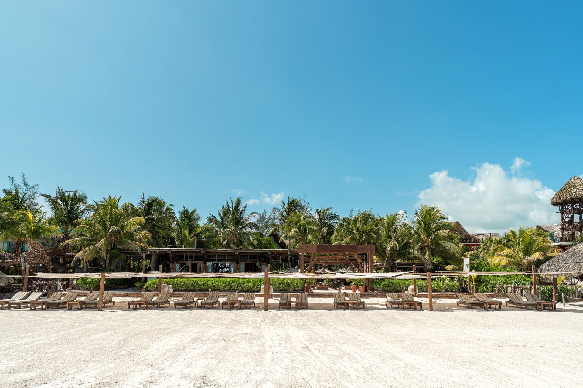 Beach with lounge chairs, palm trees, and clear blue sky.