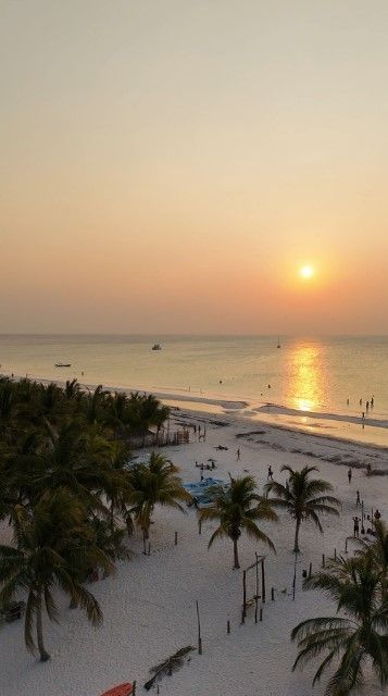 Sunset over a beach with palm trees and calm water; orange sky reflected on the sand.
