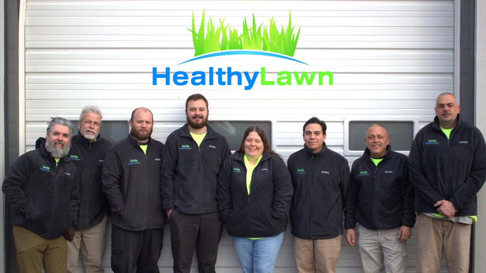 Healthy Lawn Fertilizer Services