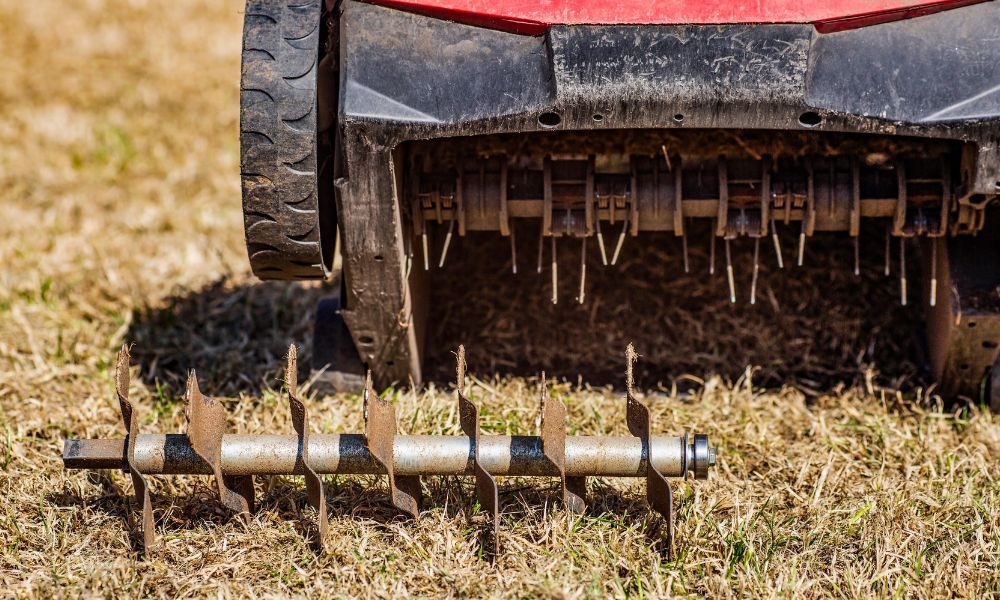 Blog | Lawn Care Services